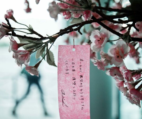 Scénographie exposition photo